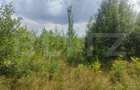 Teren intravilan, 5857 mp, Baltati, Horodnicu de Sus - 6