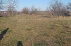 Teren de 1980 mp, în Bălteni - 2