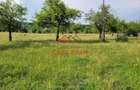 Teren intravilan in Campina, 1490mp--26.820e - 6