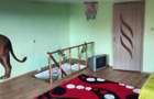 Casă cu 4 camere în Central - 1