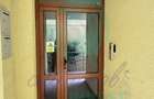 Apartament cu 4 camere decomandat în Pache Protopopescu - 9