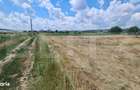 Teren Intravilan, 3600 mp, zona plata, in Jucu de Mijloc - 4