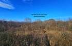 Teren intravilan 2.000 mp – Seciu, 2 deschideri, Priveliște panoramica - 6