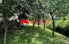 Casa de vanzare in Cornu, Prahova | 2 locuinte | Teren 1.387 mp | Comi - 5