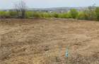 Teren de vanzare, 1079 m2(2parcele), Visan, jud.Iasi.Proprietar! - 1