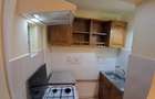 Apartament cu 2 camere decomandat în Scriitorilor - 6