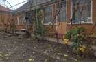 Vand casa cu 3 camere in comuna Fibis judetul Timis - 5