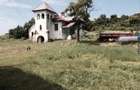 Teren de vanzre in Pitesti 53.000 mp + Conac Boieresc - 10