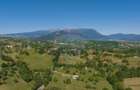 Teren intravilan de 5495 mp, în Bran - 19