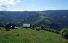 Vand teren 5619m2 la Munte in Maguri Cluj - 10