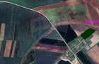 Teren agricol 14,200mp zona fermei din Zimandu Nou - 3