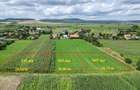 Teren Construcții intravilan de 845 mp, în Podu Oltului - 1