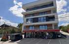 Apartament 2 camere Pacurari DON Lake view Profi - 6