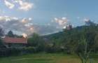 Vand casa cu anexe gospodare?ti cu curte mare, gradina ?i livada - 2