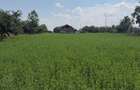 Teren de 3899 mp, în Filipeștii de Pădure - 6