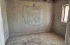 Casa Sulita, Botosani, langa iaz Dracsani - 5
