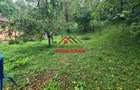 Casa in Campina--59.000 e - 4