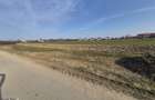 Teren de 4999 mp, în Tărtășești - 8