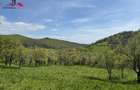Teren intravilan 8330 mp de vanzare in Inuri Jud Alba