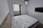 Apartament 2 camere George Enescu - 2