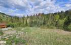 Teren 4048mp Campulung Moldovenesc, Strada Izvorul Alb, Suceava