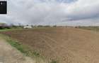 Teren intravilan platare?ti-calara?i (18km bucure?ti) - 4400mp - 2