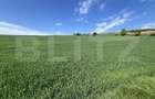 Teren generos 15.900 mp (intravilan + extravilan) in Sancraiu de Mures - 1