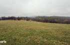 Teren deosebit 3,5HA zona Cisnadioara - 1