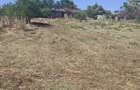 Teren 2.300 mp pe malul bal?ii + casa | Rasmire?ti, Teleorman | Dubla deschidere, curent, pu?, acte - 4