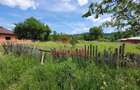 Teren intravilan in Brebu-- 3399mp--81.500e - 2