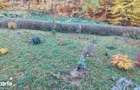 Vand apartament 2 camere Racadau, 55 mp, mobilat ?i utilat - 4