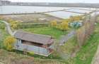 Oportunitate de investi?ie: complex piscicol de 40 ha la intrarea Dunarii in Braila - 5
