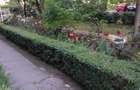 Vand garsoniera din uscatorie Rogerius - 7