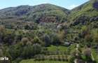 Teren de vanzare langa padure Copalnic Manastur - 3