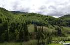 Extravilan + Intravilan | Satic-Rucar | Cadru natural | Turistic - Satic (Arges)