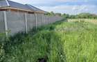 Vand teren intravilan 1438 mp in Denta, jud. Timi? Toate utilita?ile - 1