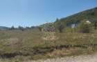 Teren intravilan 2900 mp cu utilitati-Zona MOL Viisoara - 3