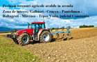 Lucram teren agricol in arenda in sase localitati din Constanta. - 2