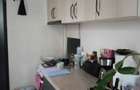 Inchiriez garsoniera pe timpul Untold - 3
