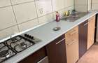 Apartament 2 camere, Parter, Banat - 4