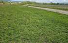 Teren agricol de vanzare, 400mp, Selimbar - 1