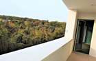 Iancu Nicolae-British School duplex  - 3 dormitoare - 21