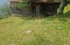 Teren intravilan de vanzare, 26.000 mp, Bulz, Bihor,Gaminvest,V4693 - 6