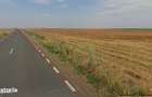 103 ha teren arabil compact, la 25 km de Timisoara - 4