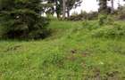 Teren de 17000 mp, în Muntele Băișorii - 2