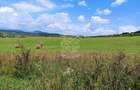 Parcele teren 4038 mp - Parcelabil - Zona Valea Stanelor - 4