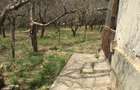 Casa de vanzare cu 3.000 mp teren OCNI?A, jud. B-N - 1