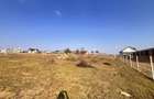 Teren Intravilan de Vanzare 40Ari | Suceava/Salcea I 4950Euro/Ar +TVA