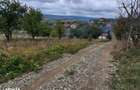 Teren intravilan Tomesti , 463 metri Cod:162884 - 1