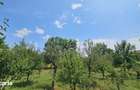 Teren langa padure Baicoi | 480 mp | D-32 ml | Zona vile noi - 9